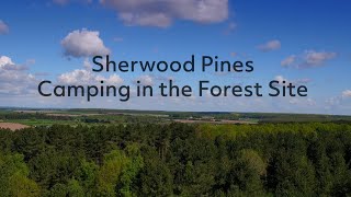 Sherwood Pines Camping in the Forest Site [upl. by Aielam104]