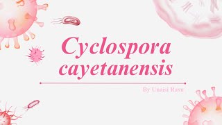 Cyclospora cayetanensis [upl. by Andree136]