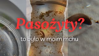 pasożyty w akwarium  To było w moim mchu  Pani Akwarystka Lady WildFish [upl. by Odawa]