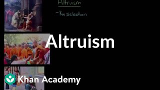 Altruism  Individuals and Society  MCAT  Khan Academy [upl. by Htezil]