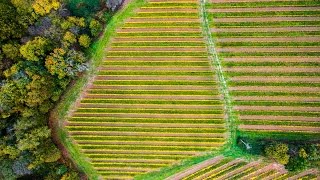 Wonderful nature of France — Drone footage 4K [upl. by Pandich]