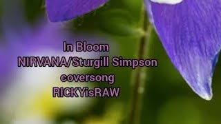 IN BLOOM  NIRVANA STURGILL SIMPSON cover RICKYisRAW [upl. by Enyala399]