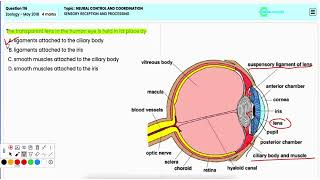 2018 Q116 Sensory Reception and Processing  How Our Body Receives amp Processes Sensory Information [upl. by Oiramej17]