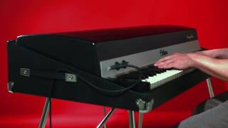 Restored Classic 1972 Fender Rhodes Buz Watson Stage Piano [upl. by Adnawt]