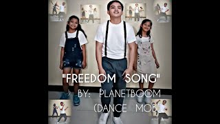 FREEDOM SONG  Planetboom dance mix [upl. by Htiffirg32]