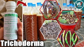 How to Use Trichoderma That You Never Know [upl. by Vasti]