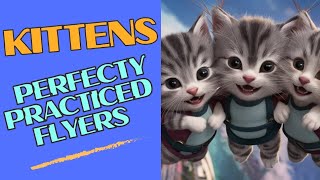 Expert Flying Kittens Practice Makes Them Perfect [upl. by Thill402]