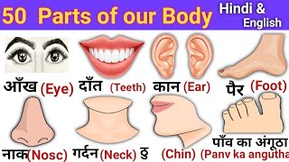 Parts of our Body  👅शरीर के अंगों के नाम  Hindi and English Vocabulary  Sfclasses [upl. by Elletnuahc]