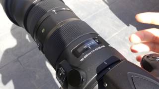 Sigma 150600mm Sports Lens 150mm Focus Speed Test [upl. by Aerdnaeel]