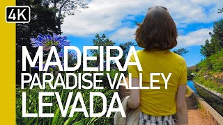 The Best Levadas in Madeira  Paradise Valley Levada  A guided tour in 4K [upl. by Giles95]