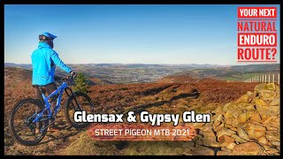 The Best Natural Enduro MTB Trail in The South of Scotland [upl. by Dorella917]