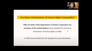 Universal Declaration of Human Rights vs Cairo Declaration at the United Nations [upl. by Nnaxor]