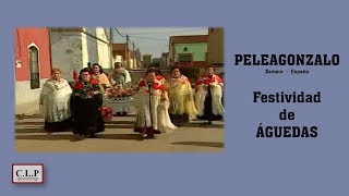 Peleagonzalo ZamoraEspaña Festividad de Águedas [upl. by Honniball]