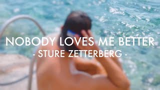 Sture Zetterberg  Nobody Loves Me Better 가사해석 [upl. by Aissert]