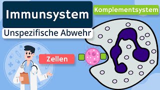 Unspezifische Immunabwehr Zellen Komplementsystem  Immunsystem einfach erklärt [upl. by Fidelis]