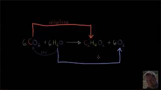 Les rx rédox dans la photosynthèse et la respiration cellulaire [upl. by Jaycee]