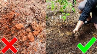 Improving Clay Soil the EASY Way for the Homestead Garden [upl. by Nael]