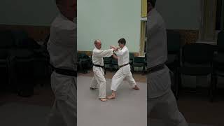 Chinte kata effective bunkai nr 4 shorts [upl. by Saunderson]