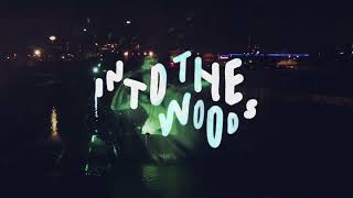 Into the Woods ADE Festival 2019  Harrie amp Kathedraal [upl. by Anialad]