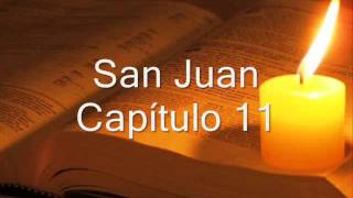 SAN JUAN COMPLETO BIBLIA HABLADA Y DRAMATIZADA NVI [upl. by Mosora]