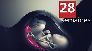 Bébé à 28 semaines de grossesse [upl. by Serg]