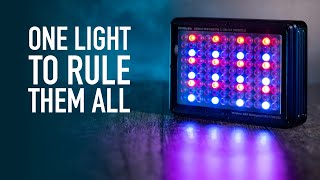 One LIGHT to RULE them ALL  BEST RGB Photo Video LED Light Giveaway WINNER announced [upl. by Nic557]