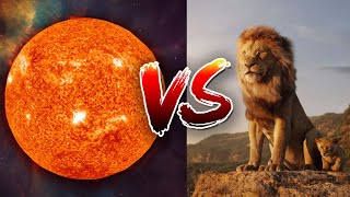 Why A Trillion Lions Would Destroy The Sun [upl. by Ginger718]