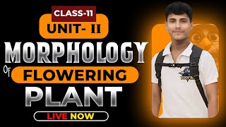 MORPHOLOGY OF FLOWERING PLANTS CLASS 11  NCERT DEEP LINES  COMPLETE NCERT FOR NEET 2025 [upl. by Michella953]