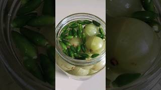 അടിപൊളിയാ🤤👌 നെല്ലിക്ക ഉപ്പിലിട്ടത് Gooseberry Pickle gooseberry shorts [upl. by Zrike]