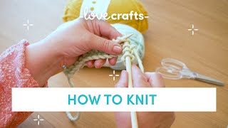 How to Knit  for absolute BEGINNERS [upl. by Urial]