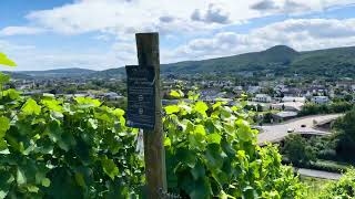 Bad Neuenahr  Ahrweiler Germany 🍇🍇🇩🇪🌎🍏🏔️travel love germancity [upl. by Mailiw3]