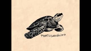 Tortuganónima  Kokoschka [upl. by Enomahs]