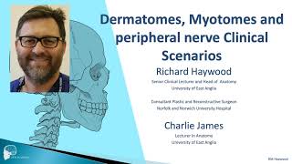 Dermatomes and myotomes clinical scenarios [upl. by Odessa600]