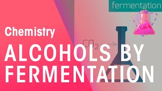 Making Alcohols By Fermentation amp From Ethane  Organic Chemistry  Chemistry  FuseSchool [upl. by Deirdre487]