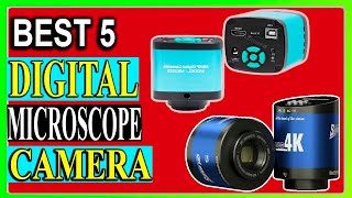 Top 5 Best Digital Microscope Camera Review in 2024 [upl. by Gosser]