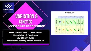 Variation and Genetics  Mendelian Inheritance  Monohybrid amp Dihybrid Cross  Mendels Laws [upl. by Arba358]