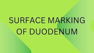 Surface marking of duodenum [upl. by Zeuqram]