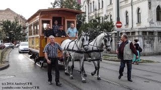 Tramvai tras de cai în Timișoara  PhoenixHeiTramvai 14062014 [upl. by Grega530]