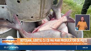 Botoșani județul cu cei mai mari producători de pește 35 din producția țării vine din nordest [upl. by Initof622]