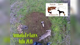 Caza De Conejos Con Guachi o Lazo Despidiendo Temporada 20202021  rabbit hunting with lasso [upl. by Jobye]