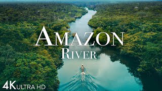 Amazon River 4k  Pink Dolphins In One Of The World’s Largest Rivers  Scenic Relaxation Film [upl. by Kemppe]