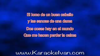 Banda Carnaval  Mis Dos Vicios KARAOKE [upl. by Comethuauc625]