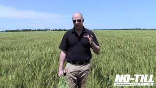 Benefits of Adding Tramlines to No Tilled Fields [upl. by Etnoval]