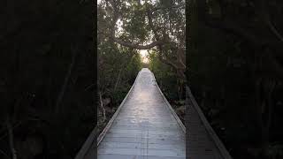 Glover Bite Boardwalk At Dawn [upl. by Nahtad459]