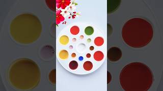 Mixing Various Colors And Creating New 16 Colors colormixing satisfying paint [upl. by Latsyrc685]