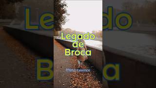 Legado de Broca [upl. by Crespo]