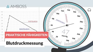 Blutdruckmessen  Schematische Darstellung  AMBOSS Video [upl. by Lundberg87]