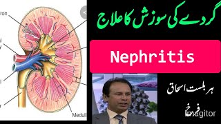 nephritis گردوں کی سوزش کا علاج  treatment of nephrits  ہربلسٹ اسحاق فرخ [upl. by Nnylamme]