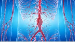 Aortic Aneurysm Definition Causes symptoms and Management II BSC NURSING [upl. by Ledda175]