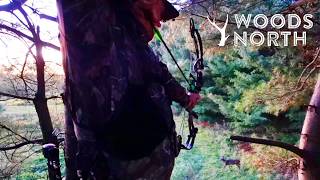 First Deer of the Year VERMONT 2024 ARCHERY SEASON  Deer Down [upl. by Nitsirc]